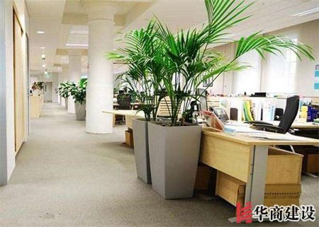 辦公室裝修的五大原則，原來要這樣設(shè)計！