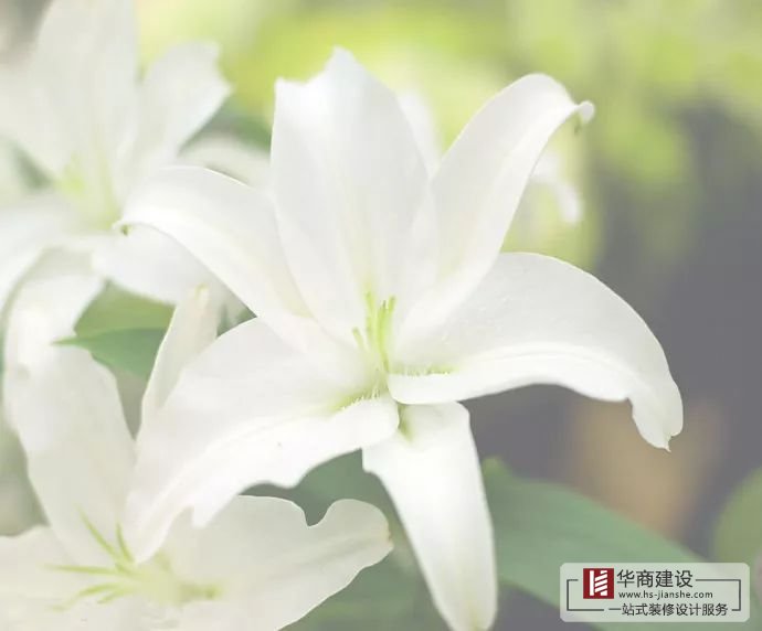 裝修不將就，廣州大型公裝家裝公司更注重細(xì)節(jié)